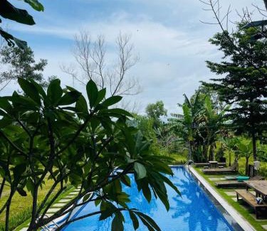 An Thoi Complejo | Baisao Villa