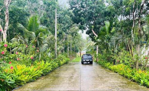 An Thoi Complejo | Baisao Villa