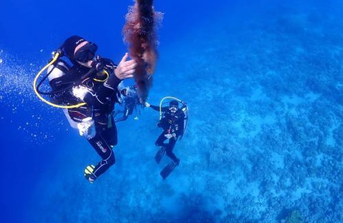 Aqaba Apartamento | Bait Alaqaba dive center & resort