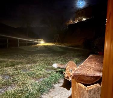 Valtellina Chalet De Esquí | Baita “Oasi della Volpe”
