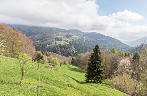 Roncone Chalet De Esquí | Baita Rustica immersa nel verde