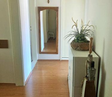 Cacak Apartamento | BAJKA