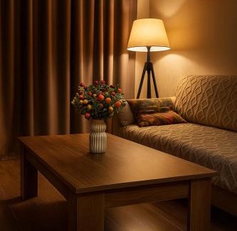 Bakuriani Apartamento | Bakuriani Crystal resort 408