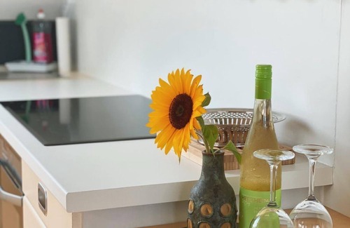 Neustadt-Haardt Apartamento | Balcón del Palatinado - apartamento, ducha y baño, aseo, 1 dormitorio
