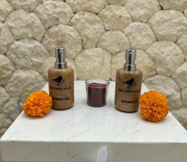 Padangsambian Klod Villa | Bali Bird Villa