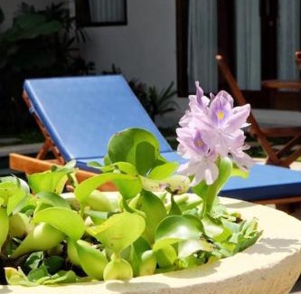 Kampial Casa | Bali Cerida 21