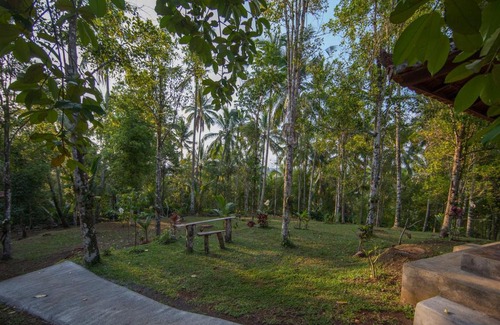 East Selemadeg Cabina | Bali Green Retreat