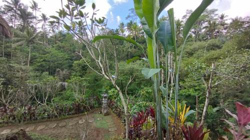 Sebatu Casa | Bali Jungle Taksu