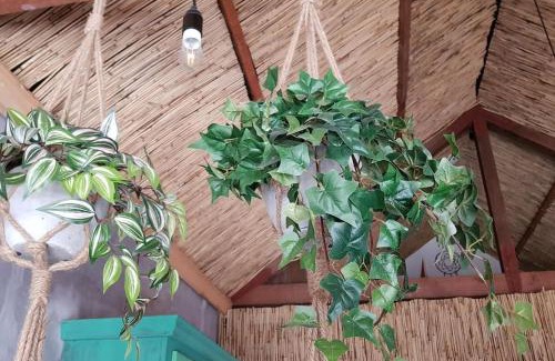 Velsen-Zuid Casa | Balistyle guesthouse incl Hottub near Amsterdam and Haarlem