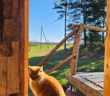 Pedvale Casa | Baltās Raganiņas pirts