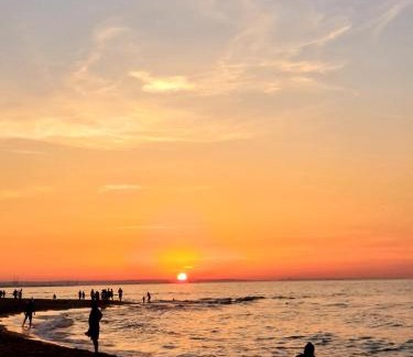 Wyspa Sobieszewska Apartamento | Baltic Line Marina-Mewa