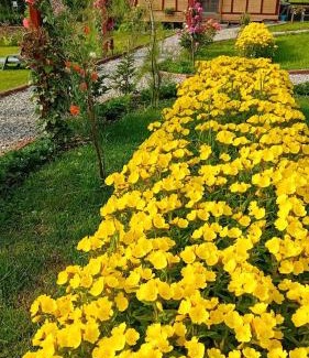 Corbeni Casa | Baltina Parc Transfagarasan