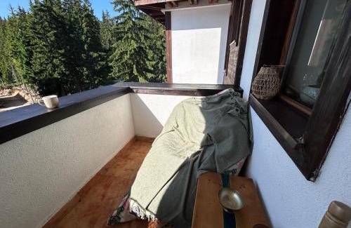 Pamporovo Apartamento | Bambi