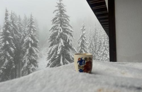 Pamporovo Apartamento | Bambi