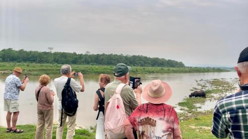 Sauraha Casa | Bamby Chilling House - Feel The Nature