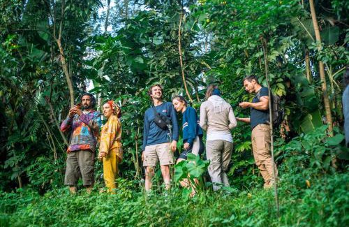 Nkoanrua Hostal | Banana Farm Eco Hostel