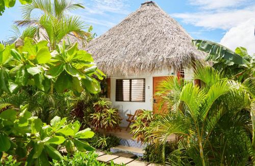 Jiquelite Apartamento | Banana Tree Popoyo