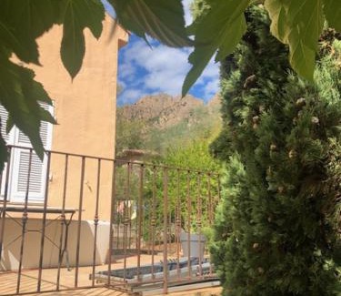 Conca Cama Y Desayuno | BandB - les rosiers - Corse - Chambre Hellébore