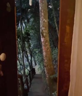 Sao Pedro da Serra Casa | Bangalô na Natureza