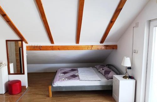 Vrujci Apartamento | Banja Vrujci KNN 95