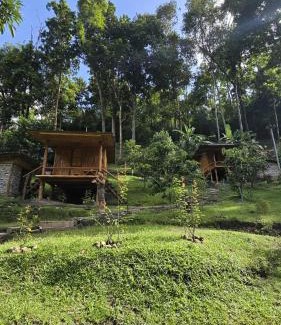 Chom Thong Casa | Bankhamkee Homestay