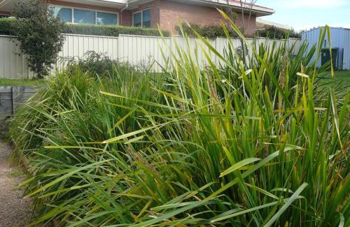 Lakes Entrance Casa | Banksia Waters
