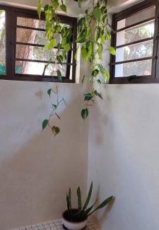 White River Apartamento | Bannockburn Guest Cottage