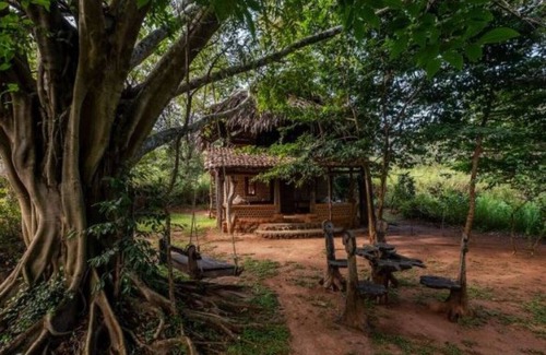 Hambegamuwa Casa | Banyan Camp para 4 personas (unidad 2)