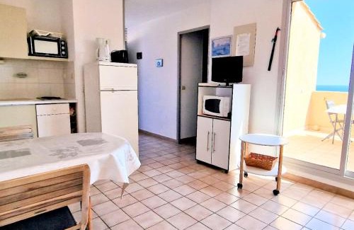 Banyuls-sur-Mer Apartamento | BANYULS-SUR-MER: Appartement avec Terrasse, Clim, Parking et Animaux acceptés - FR-1-309-53