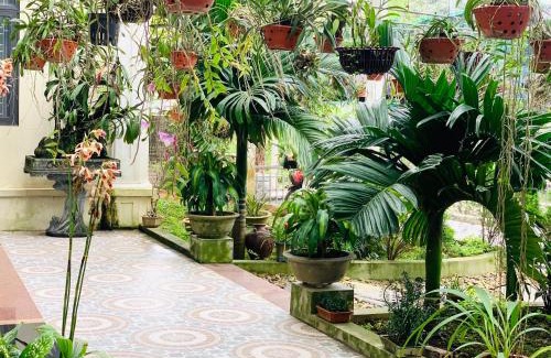 Ninh Binh Hotel | Bao Ky Homestay