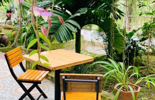 Ninh Binh Hotel | Bao Ky Homestay