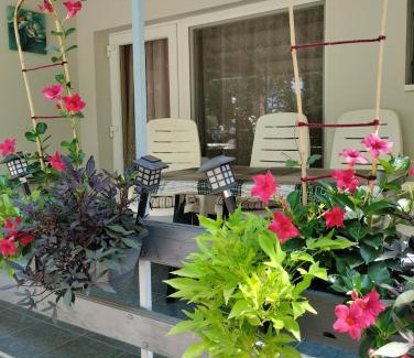 Berekfurdo Apartamento | Barázda Apartman