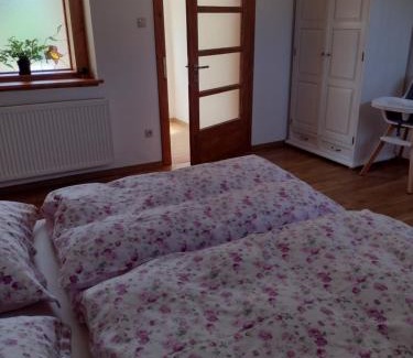 Tvrdosovce Casa | Bara ház
