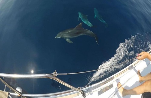 Lampedusa Alquiler De Eote | Barca a Vela DELFINA
