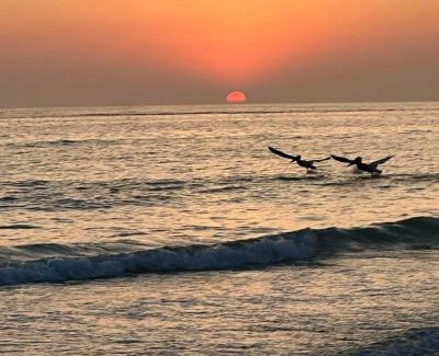 Indian Shores Apartamento | Barefoot Beach Resort in Indian Shores Minutes from Clearwater Beach