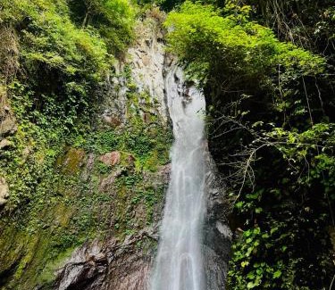 Tianyar Hotel | Barefoot Glamping - Escape in Nature
