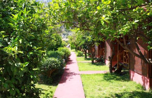 Cirali Complejo | Baris Pension & Bungalows