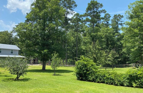 Rocky Point Casa | Barn Loft at Peaceful Pastures - a place to unplug!