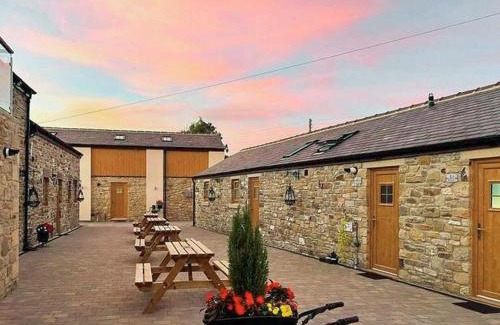 Castleside Casa | Barn Owl Cottage- Ukc6985