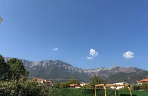 Golden Beach Hotel | Barocco Mare