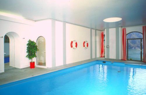 Castagnola Apartamento | Barony Olive mit Hund