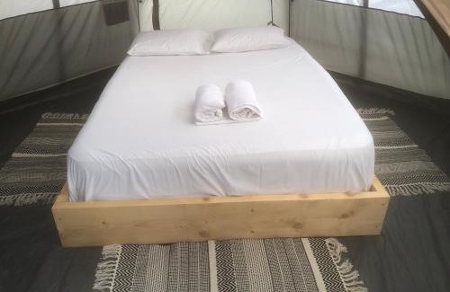 Diasella Otro | Barreira Beachfront Tents 8