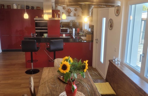Brione sopra Minusio Casa | Barrier-free house with Jacuzzi, glass pool, PW charging station - dogs allowed!