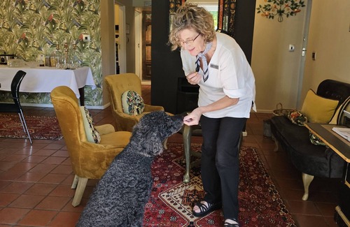Die Boord Casa | Baruch Guest House on Rhodes Noord