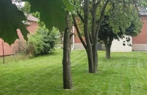 Durham Region Casa | Basement apartment at 240, Oshawa area