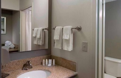 Boca Raton Hotel | Bask In The Sun, A Few Minutes to Boca Raton Beach! Pool, Parking, Pet-Friendly!