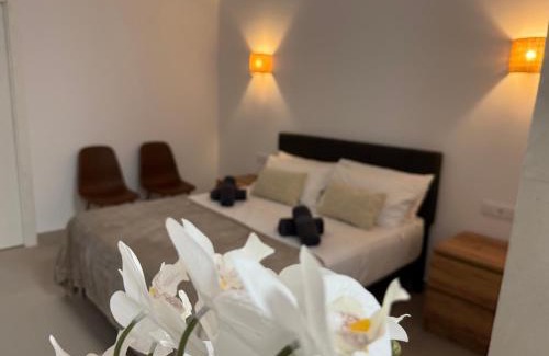 Xirivella Apartamento | Basset 1