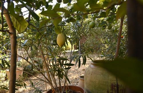Perpignan Casa | Bastide le Petit Clos - les 2 Gîtes