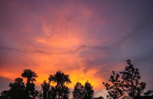 Wang Katha Complejo | Bat Cave Glamping Khao Yai