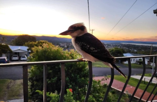 Bateau Bay Casa | Bateau Bay Family Escape - Magical sunset views